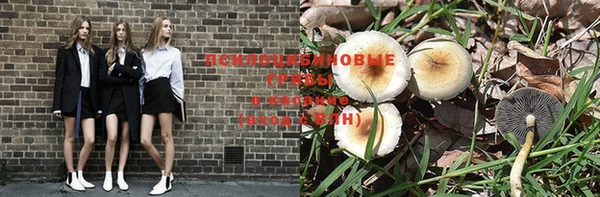 таблы Богородск