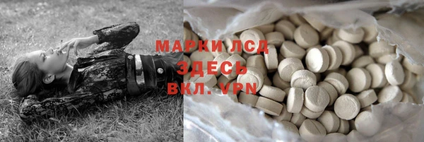 индика Семилуки